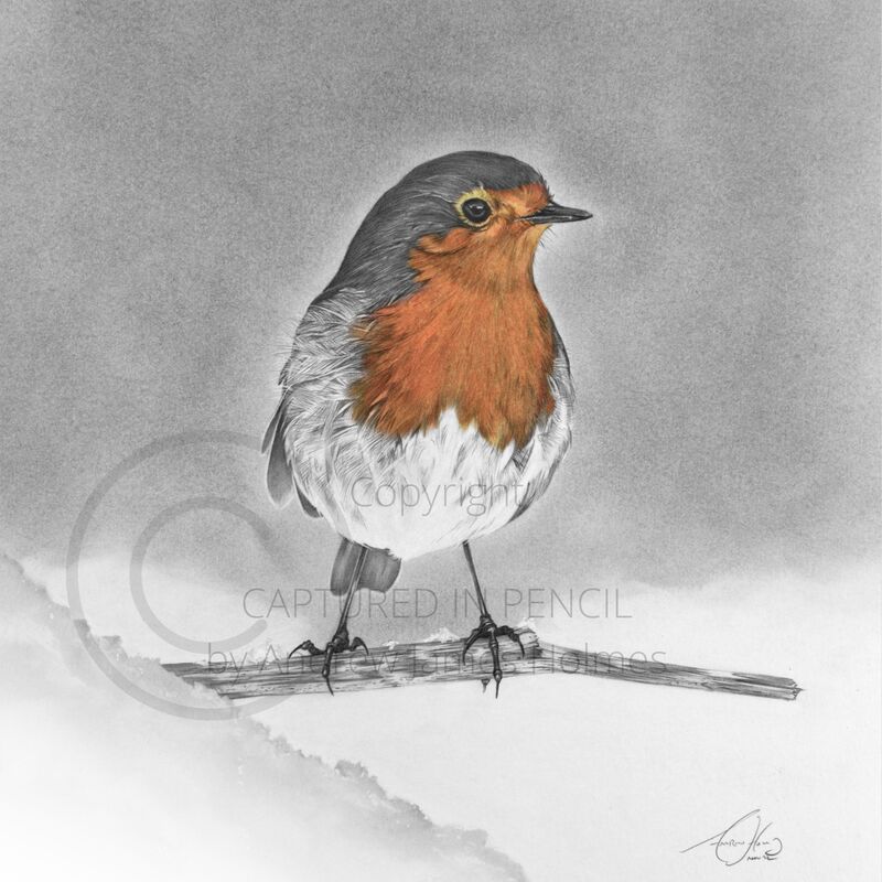 How to Draw a Robin. Still a brown and red blob, but with a… | by Susan  Alison | How to Draw | Medium
